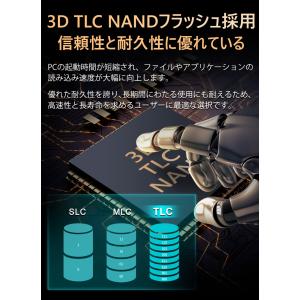 Raver NVMe SSD 1TB 3D N...の詳細画像3
