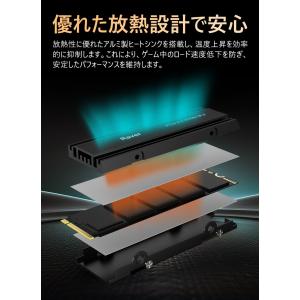 Raver NVMe SSD 1TB 3D N...の詳細画像4