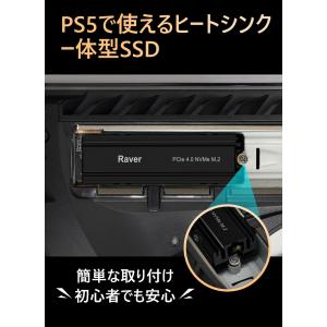 Raver NVMe SSD 1TB 3D N...の詳細画像5