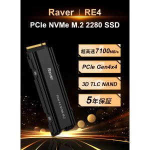 Raver NVMe SSD 512GB 3D...の詳細画像1