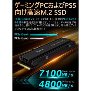 Raver NVMe SSD 512GB 3D...の詳細画像2