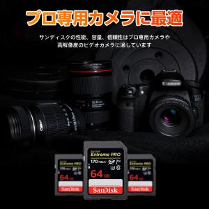 SDカード 翌日配達 SanDisk Extr...の詳細画像5