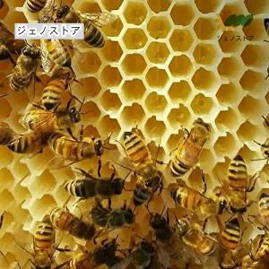 ミツバチ 巣箱 蜜蜂巣箱 4/6/7個 フロー...の詳細画像1