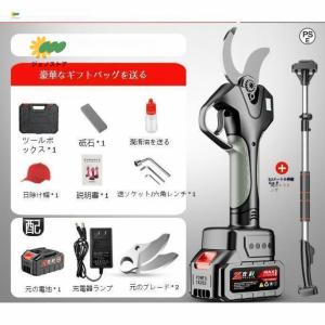 電動高枝切りバサミ 充電式剪定ばさみ 高枝切り延...の商品画像