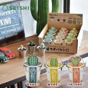 サボバケツ栽培キット SEISHIN | サボバ...の商品画像