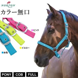 Waldhausen 馬柄 ホルター 無口 WHLH1 馬具 乗馬用品 : 乗馬用品