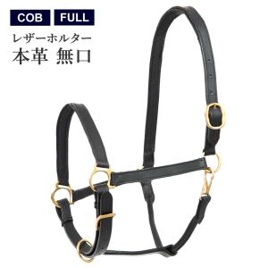 Klaus 馬用 レッグプロテクター 前肢・後肢4点セット LP8（紫パープル