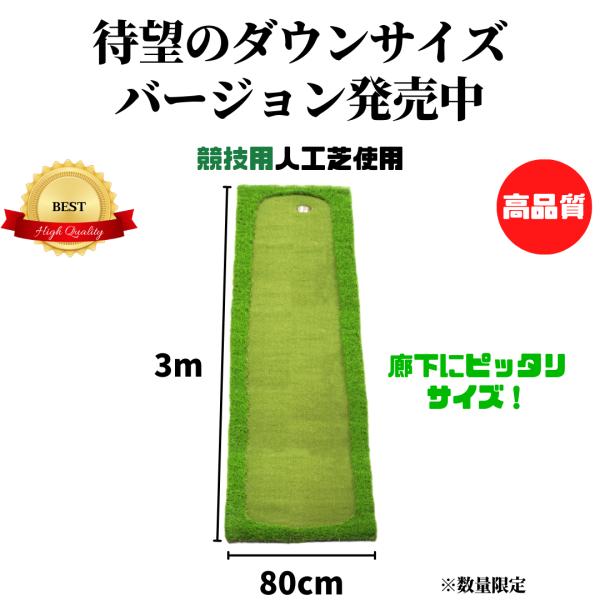 AG Practice Putter Mat 0.8m x 3m ゴルフ 練習 競技用 人工芝 専門...