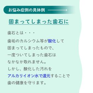 プロバイオミスト 80ml スプレー歯磨き 正...の詳細画像5