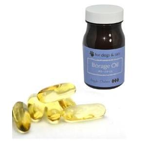 アーガイルディッシュ ボラージオイル　30粒