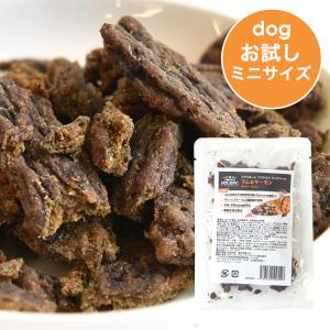 アブソルート DOG ホリスティックエアドライ ドッグフード ラム&サーモン お試しミニサイズ 20g　全年齢対応 グルテンフリー ミール不使用 その他の原材料｜john-coco