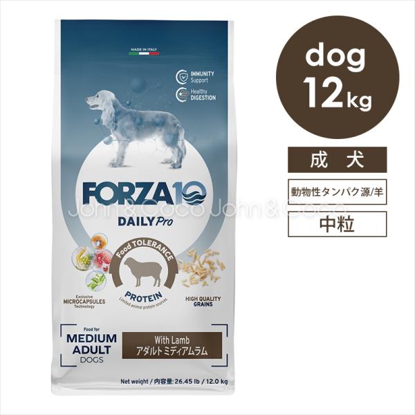 フォルツァ10 DOG デイリープロ アダルトミディアム ラム 12kg