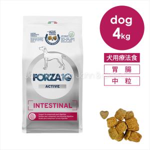Forza10 インテスティナルアクティブ ミディアム 4kg
