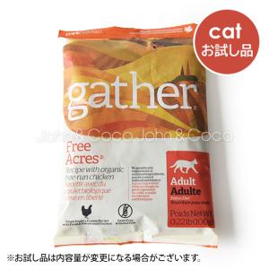 ギャザー  キャット フリーエーカー お試し サンプル　キャットフード