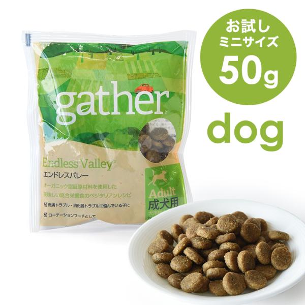 ギャザー DOG エンドレスバレー お試しミニサイズ 50g　成犬 グルテンフリー サステナブル ミ...