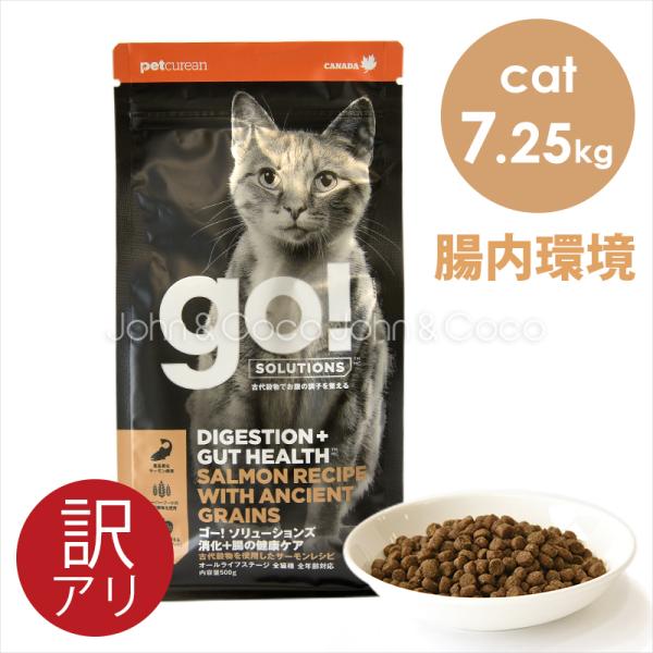 ゴー 特別価格 CAT 消化＋腸の健康ケア サーモン 7.25kg キャットフード ドライフード 猫...