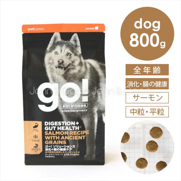 ゴー DOG 消化＋腸の健康ケア サーモン 800g 犬 ドッグフード ドライフード 魚 お腹 プロ...