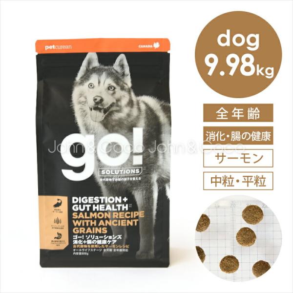 ゴー DOG 消化＋腸の健康ケア サーモン 9.98kg 犬 ドッグフード ドライフード 魚 お腹 ...
