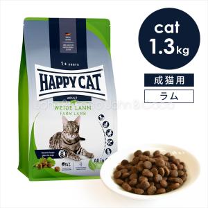 ビーワイルド B Wild キャットフード アンチョビ用 ローグレイン 400g
