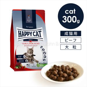ビーワイルド B Wild キャットフード アンチョビ用 ローグレイン 400g