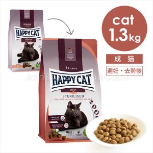 CARNY アニモンダ CAT カーニー ドライ 大型猫用 鶏・サーモン 1.75kg