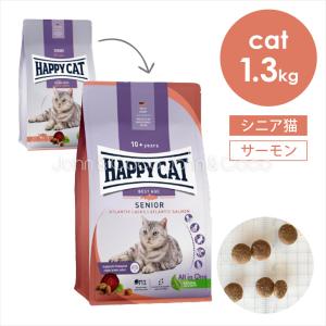 ドクターイデア No.3 900g Dr.IDEA 腎臓の健康に配慮した 成猫のための