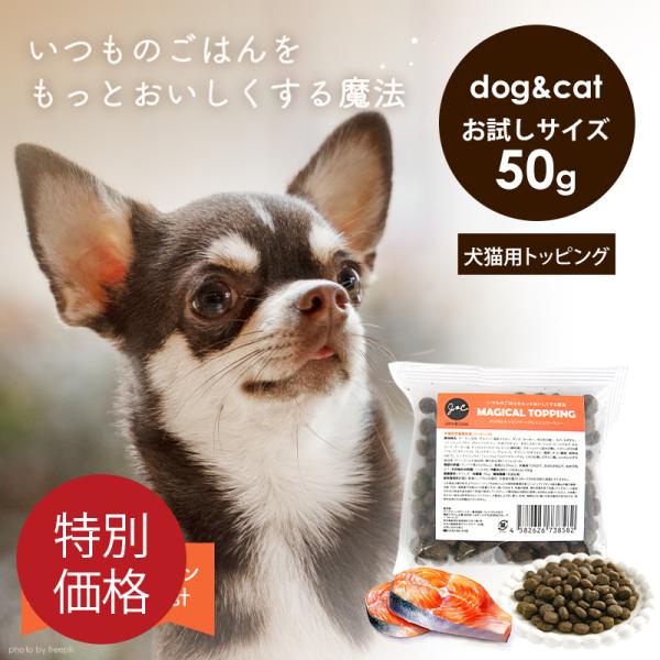 「特別価格」Ｊ＆Ｃ マジカルトッピング フレッシュサーモン お試し50g 犬 猫 ドッグフード キャ...