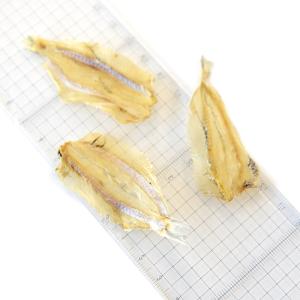 J&C プレミアムトリーツ 白イワシの開き 2...の詳細画像3