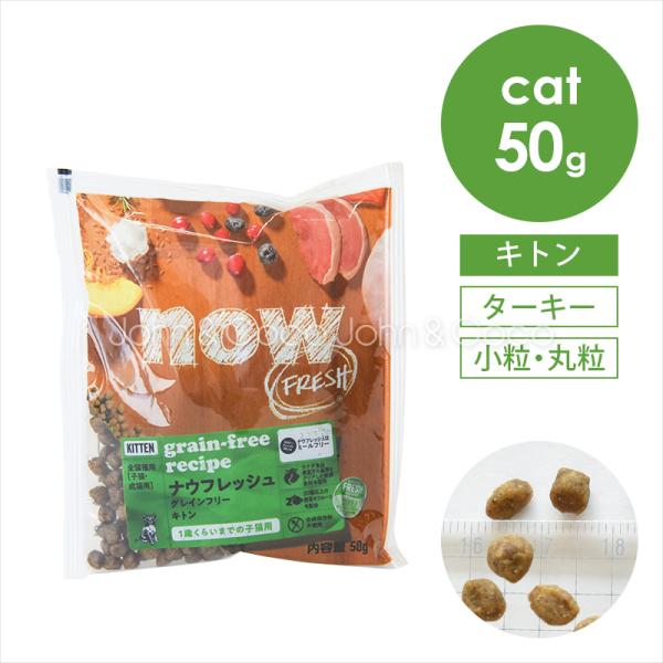 ナウ フレッシュ（NOW FRESH） CAT グレインフリー キトン お試しミニサイズ50g 子猫...
