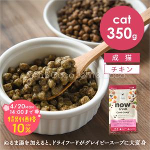 「先着プレゼント付」ナウフレッシュ CAT グッドグレービー アダルトキャット チキンレシピ 350g 猫 キャットフード ドライフード
