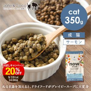 「20％オフ！9/15 14時迄」ナウ フレッシュ グッドグレービー アダルトキャット サーモンレシピ 350g 猫 キャットフード ドライフード グレインフリー now