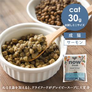 ナウフレッシュ CAT グッドグレービー アダルトキャット サーモンレシピ お試しミニサイズ 30g 猫 キャットフード ドライフード グレインフリー