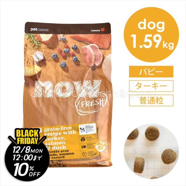 【ジョンココBlackFriday第二弾「12/8(月)12時迄」】ナウ フレッシュ（NOW FRE...