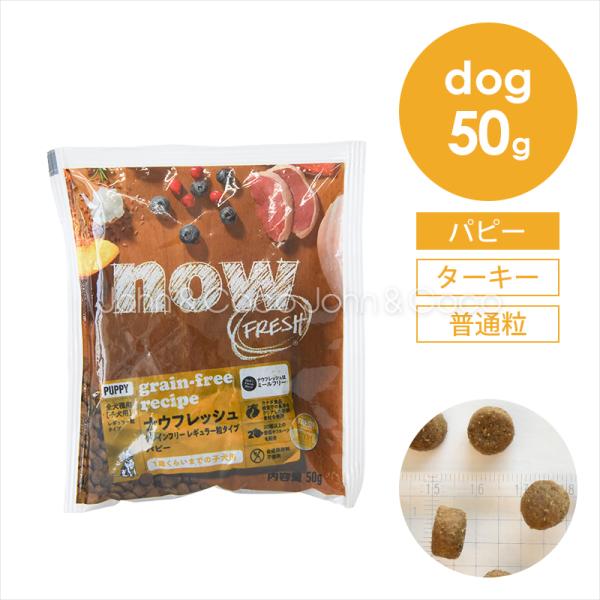 ナウ フレッシュ（NOW FRESH） DOG グレインフリー パピー お試しミニサイズ50g 子犬...