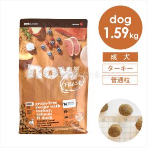 Now ナウフレッシュ　スモールブリード　フィッシュ　ご飯　犬 NOW FRESH ナウ フレッシュ（NOW FRESH） DOG グレインフリー スモール