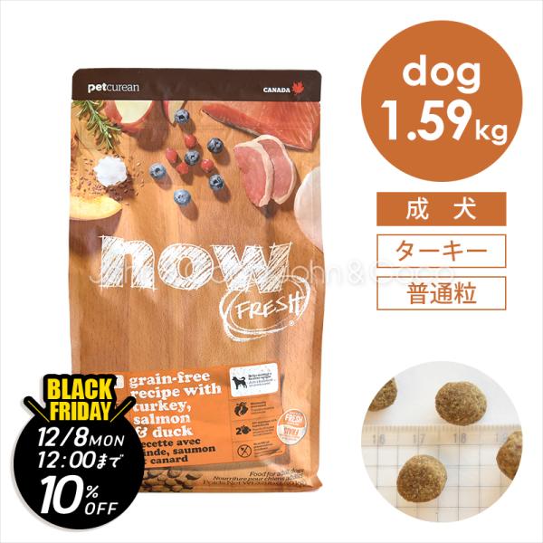 【ジョンココBlackFriday第二弾「12/8(月)12時迄」】ナウ フレッシュ（NOW FRE...