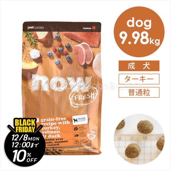 【ジョンココBlackFriday第二弾「12/8(月)12時迄」】ナウ フレッシュ（NOW FRE...