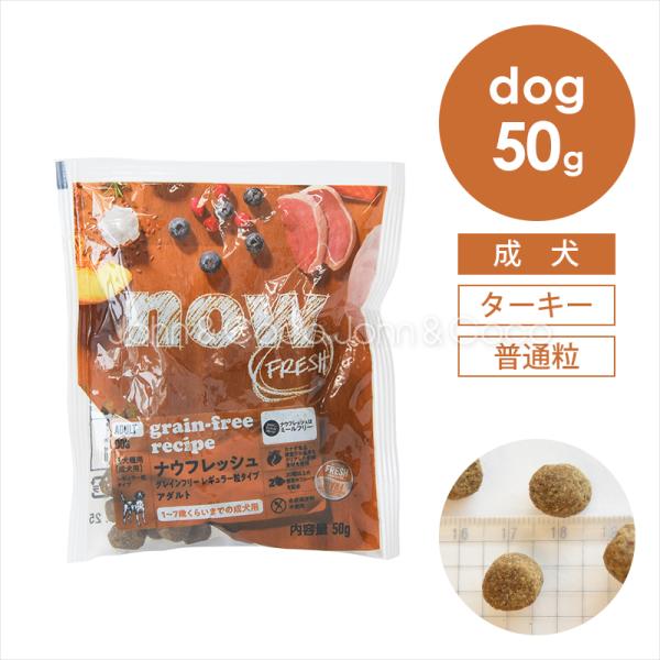 ナウ フレッシュ（NOW FRESH） DOG グレインフリー アダルト お試しミニサイズ50g 成...