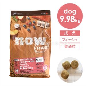NOW FRESH ナウ フレッシュ（NOW FRESH） DOG グレインフリー スモール