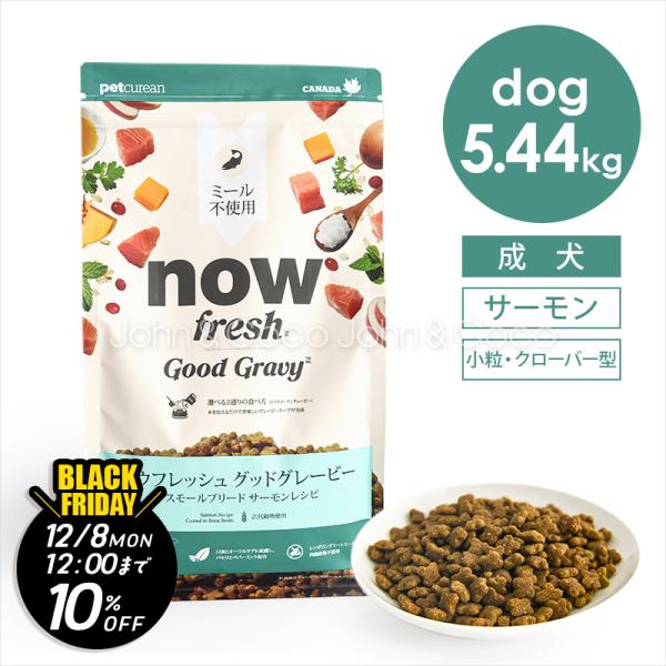 【ジョンココBlackFriday第二弾「12/8(月)12時迄」】ナウ フレッシュ（NOW FRE...