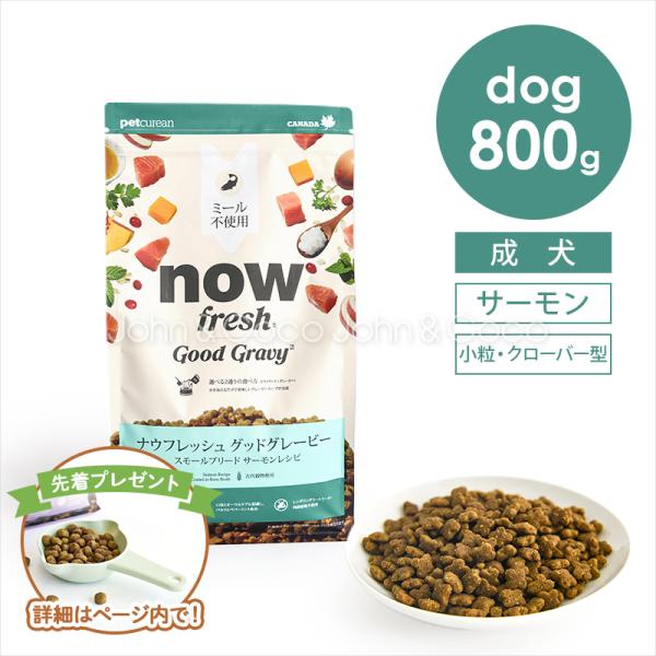 【先着300名さま「オリジナル計量カップ」プレゼント】ナウ フレッシュ グッドグレービー スモールブ...