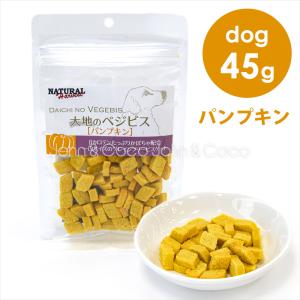 ナチュラルハーベスト 大地のべジビス パンプキン 45g　犬用 おやつ エイジングケア ビスケット｜john-coco