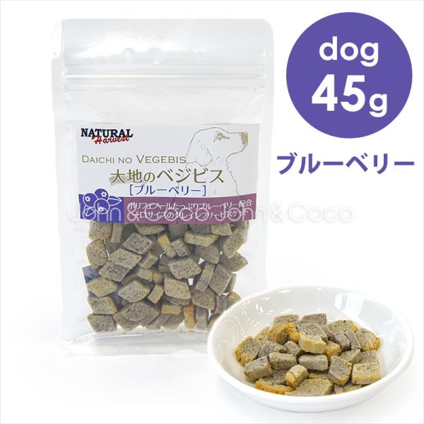 ナチュラルハーベスト 大地のべジビス ブルーベリー 45g 犬 オヤツ グレインフリー ビスケット ...