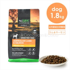 ドッグフード Bwild ビーワイルド パピー ダックwithポテト ( グレイン