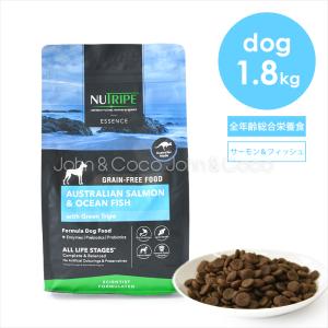 森乳サンワールド 森乳 サンワールド スーパーゴールド フィッシュ