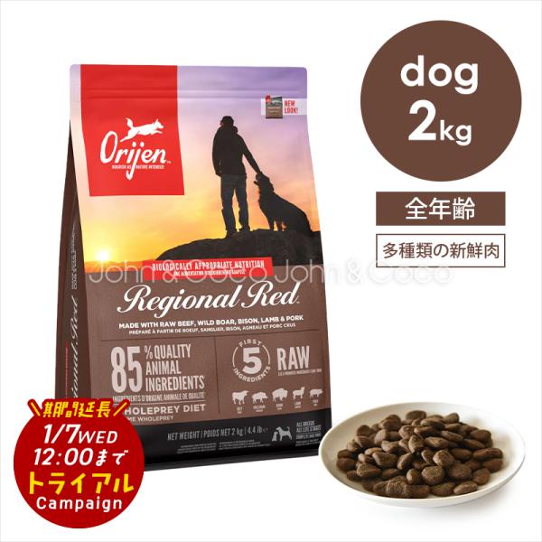 【特別価格！トライアルキャンペーン期間延長「1/7(水)12時迄」】オリジン レジオナルレッド ドッ...