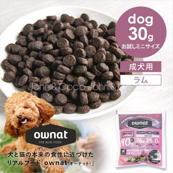 オーナット グレインフリー プライム 小粒 ラム お試しミニサイズ 30g 犬 ドライフード