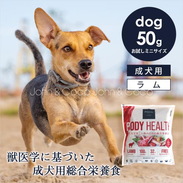 POCHI（ポチ） ボディヘルス ラム お試しミニサイズ50g 犬 ドッグフード ドライフード 獣医...