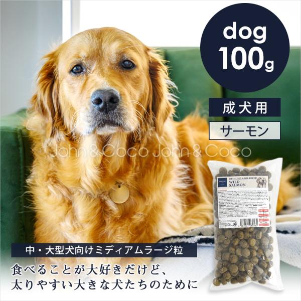 POCHI（ポチ） ミディアムラージブリード ワイルドサーモン お試しミニサイズ100g 犬 ドライ...