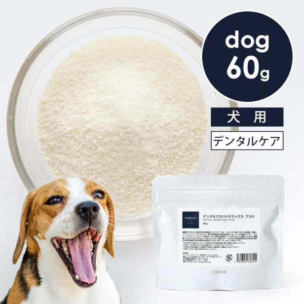 POCHI（ポチ） デンタルプロバイオティクス プラス 60g 犬 サプリメント デンタル 歯みがき...